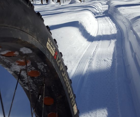 fat bike tire in foreground with groomed fat bike trail in background