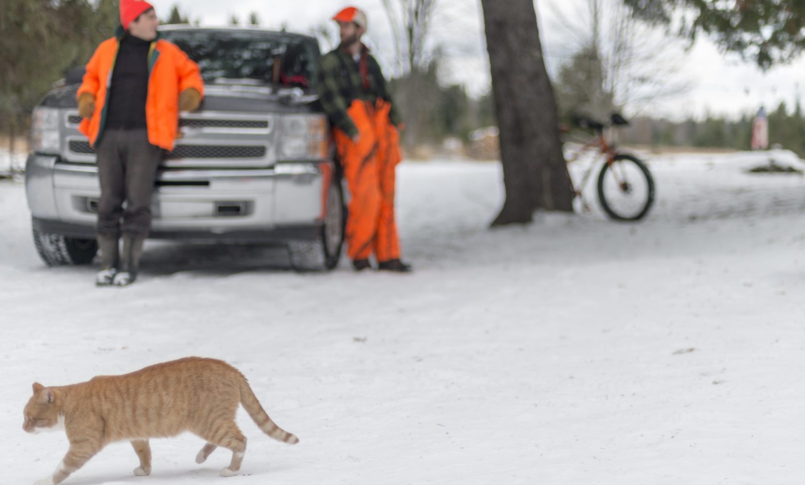 a cat walks through the snow in front of two deer hunters.
