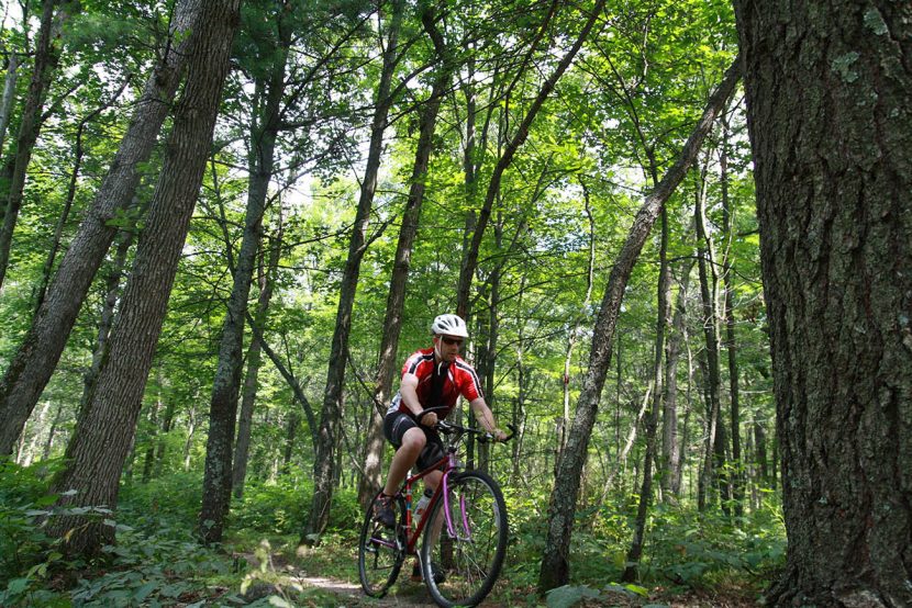 Man riding mountain bike in woods low angle photo