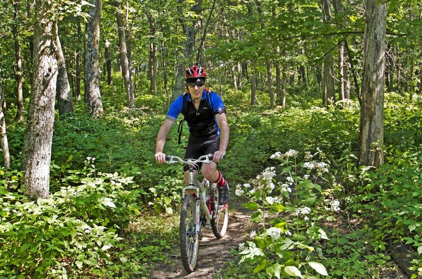 man riding mountain bike in woods