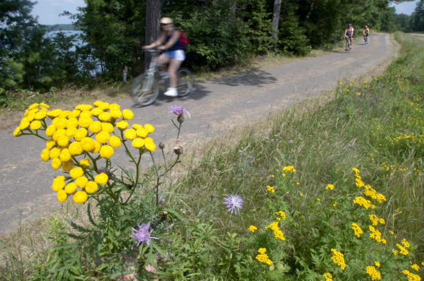 people riding bikes on trail past lake and flowers in forground