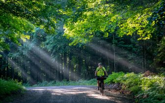 Man rides through forest with dramatic light