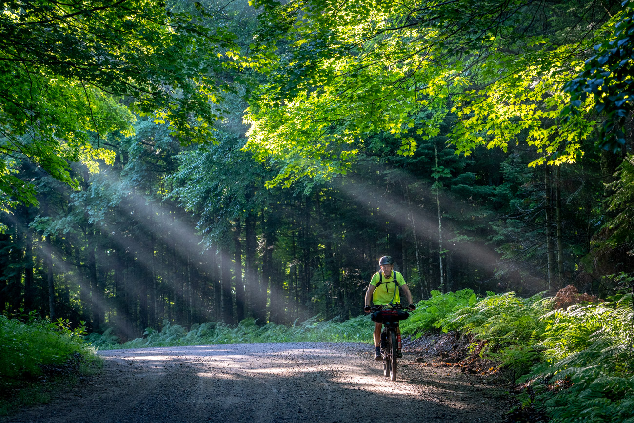 Man rides through forest with dramatic light
