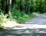 Northwoods Bicycle Tour