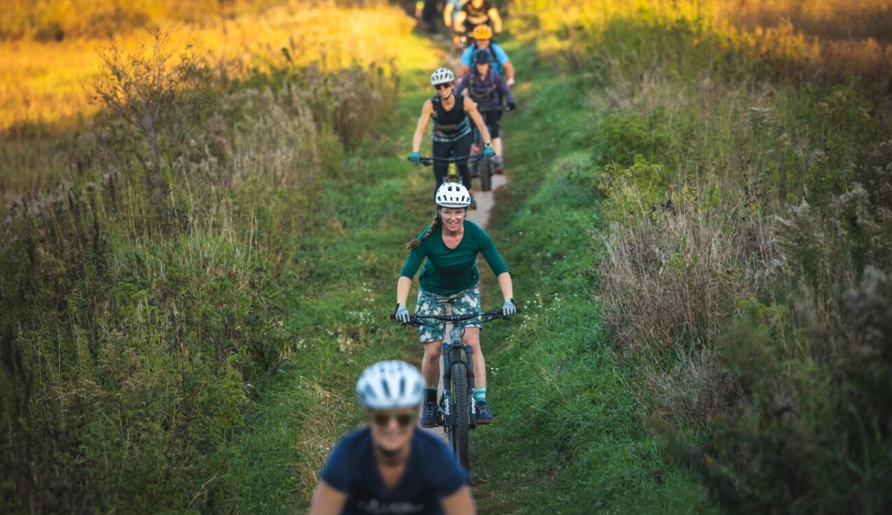 bicycle riders on a grassing path