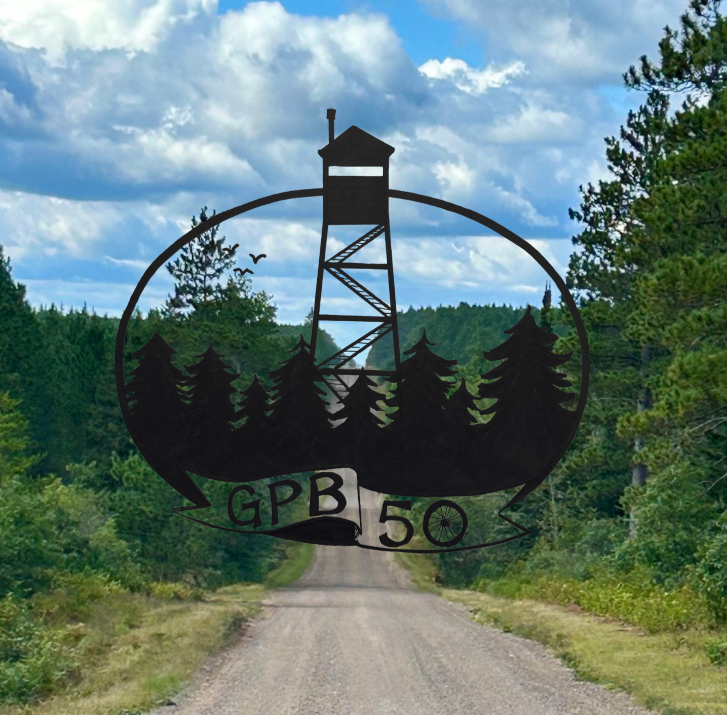 Gordon Pine Barrens 50